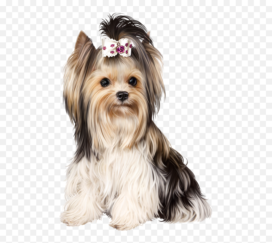 Yorkshire Terrier Puppies Dog - Yorkshire Png Emoji,Yorkie Emoji