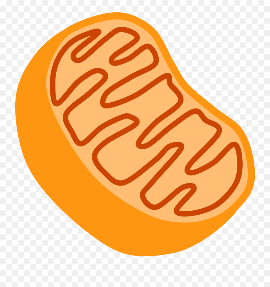 Painted Mitochondria As An Illustration Free Image Download - Mitochondria Clipart Emoji,Emoticons In A Cell Science Nature