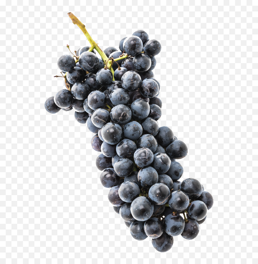 Order Non Alcoholic Drinks - Beer Wine U0026 Spirits Online Diamond Emoji,Black Grapes Emoji