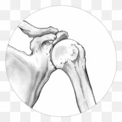 Healthcare Professionals Medical Education - Limacorporate Dot Emoji,Emotion Ltaly Flag Gif