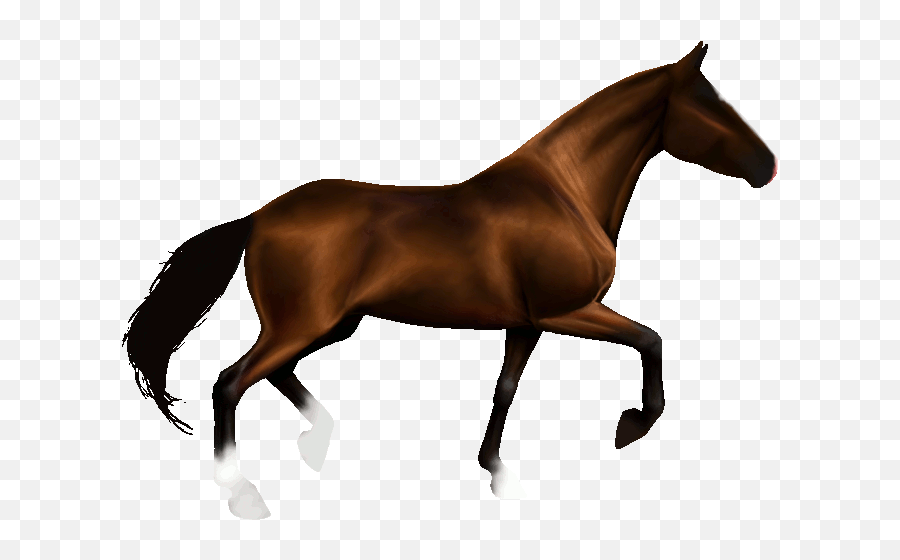 Jet Clipart Animation Jet Animation Transparent Free For - Horse Running Transparent Gif Emoji,Emoji Horse And Plane