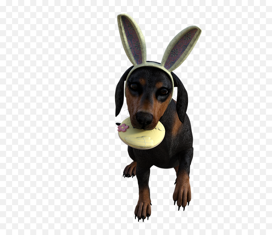 Free Photo Easter Doggy Bunny Dog Easter - Max Pixel Emoji,Dog Jump Emotions