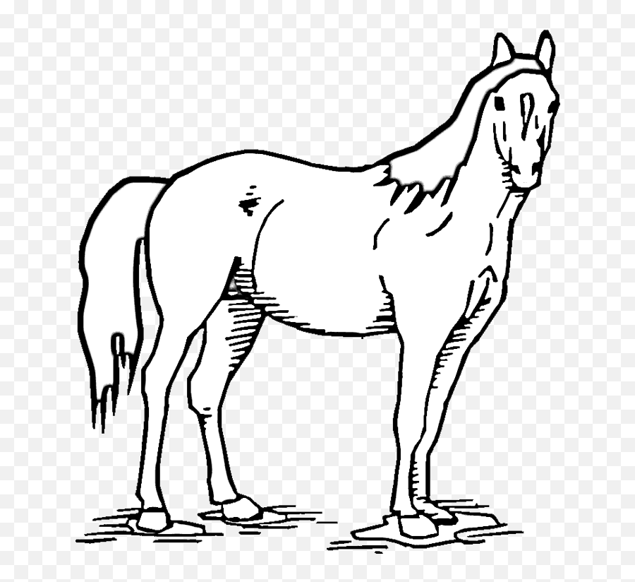 Free Mustang Horse Coloring Pages Download Free Mustang Emoji,Horsey Emoticons