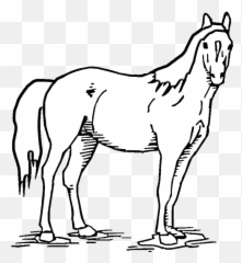 Free Mustang Horse Coloring Pages Download Free Mustang Emoji,Horsey Emoticons