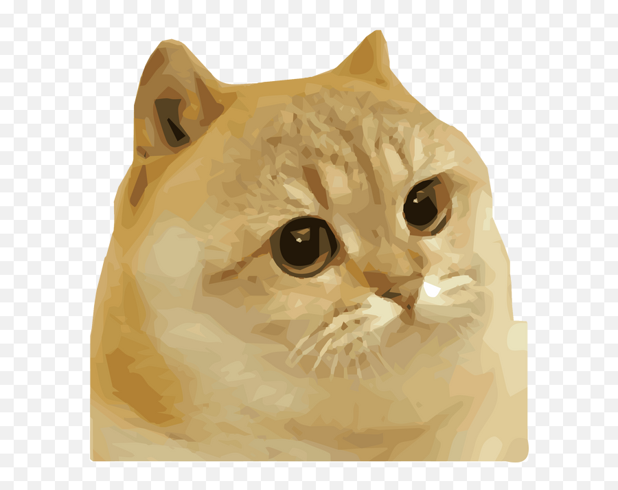 Catge Catge Coinmooner Emoji,Angry Upvote Emoji