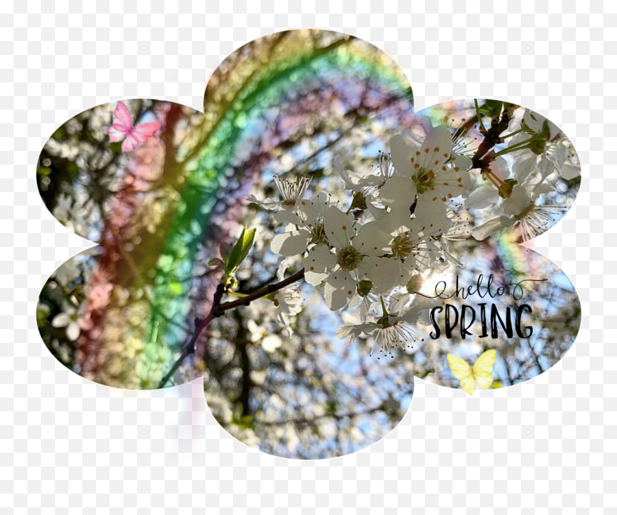 Spring Springtime Marzo March - Girly Emoji,Springtime Emoji