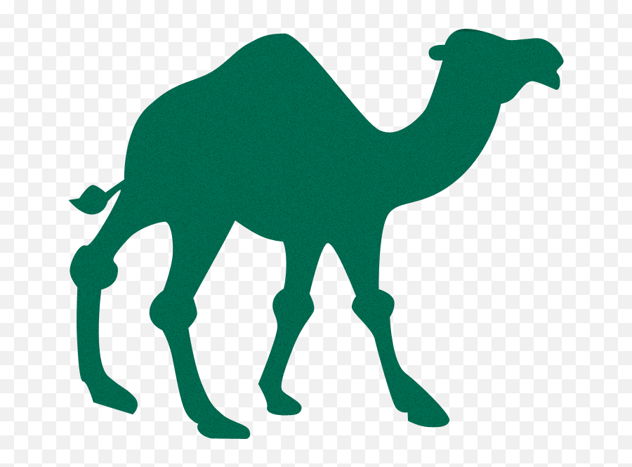 List Of Bands With Animal - Themed Names Brad Frost Camel Icon Png Emoji,Band Names Emoji