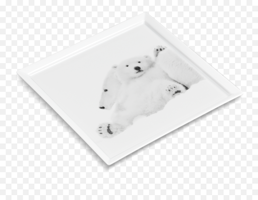 Haviland Arctic Emotion - Polar Bear Emoji,Ice Bear Showing Emotion