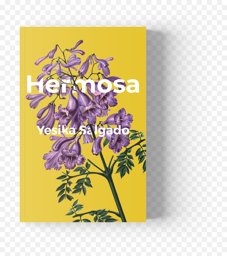 Social Justice Book Clubu0027s March Feature - Hermosa By Yesika Hermosa Yesika Salgado Emoji,Facebook Using Sad And Angry Emojis To Censor Posts