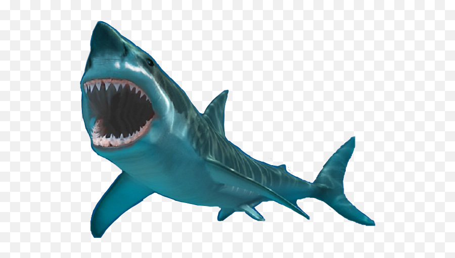Sharksticker Shark Sharks Sticker By Kikki - Great White Shark Emoji,Why Is The Shark Facebook Emoticon Gone?