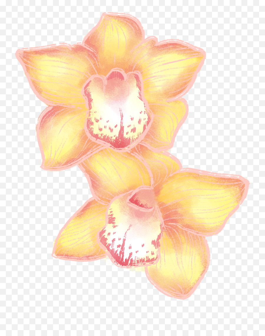 Energy Healing Heal Emotions To Love - Orchids Emoji,Emotions Come From Motions Tony Robbins