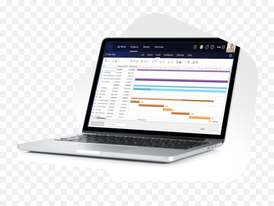 Project Management U0026 The Project Life Cycle All Processes - Project Stakeholder Emoji,Discuss The Development Of Emotions With Examples At Different Stages