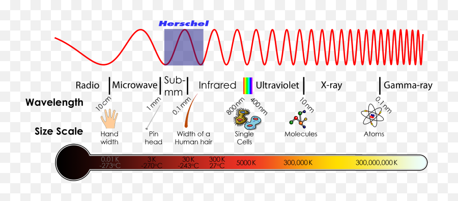 Is It Possible To Erase Ones Memory About A Certain Movie So - Electromagnetic Spectrum Diagram Transparent Emoji,Donnie Darko Emotions