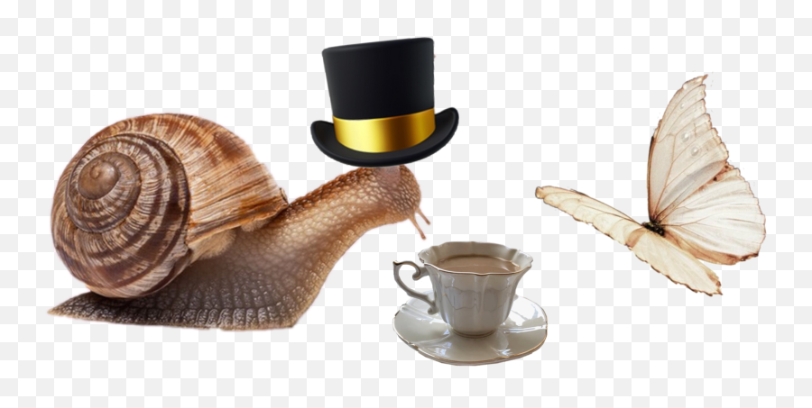 Discover Trending - Saucer Emoji,Snails Emoticon