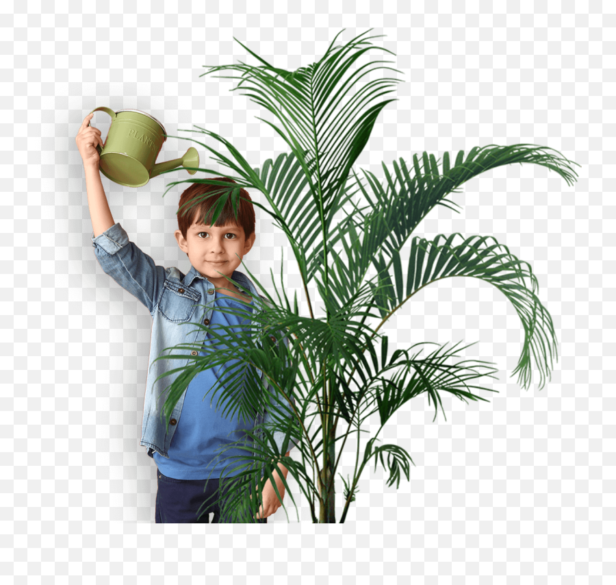 Découvrir La Nature À 2 Ans - 123 Kid Palm Plant Emoji,Dessine Ton Emotion Bricolage Enfants