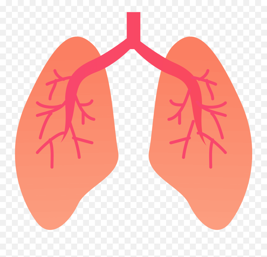 Lung Organ Clipart - Lungs Organ Clipart Emoji,Lung Emoji