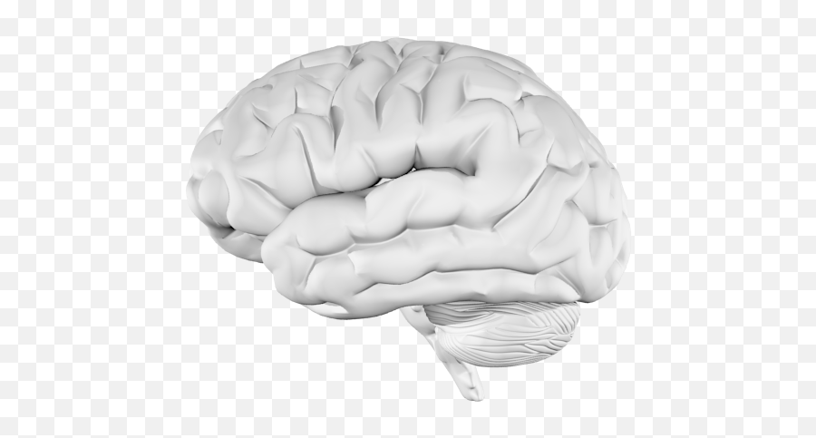 Music And The Brain What Happens When Youu0027re Listening To Music - Brain Emoji,Brain Scan Of Emotions