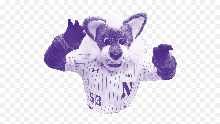 Northwestern Alumni Association - Transparent Northwestern University Wildcat Png Emoji,Emotions Anonimous In Rio De Janeiro