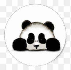 Physics And Astronomy Club Panda Department Of Physics Emoji,Sleep Emoji Black And White