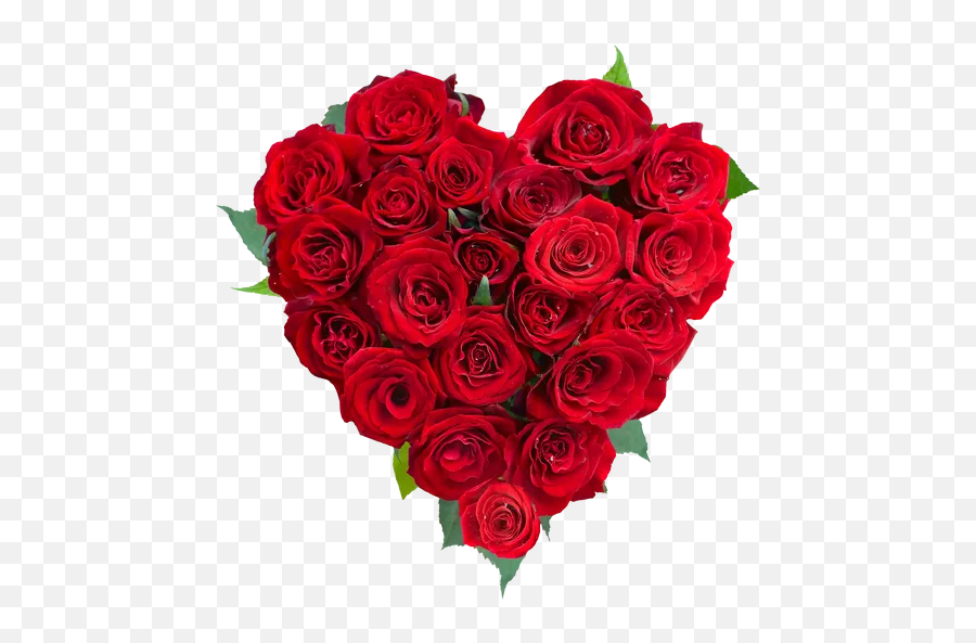 Roses Stickers For Whatsapp - Rose Images In Heart Shape Emoji,Red Rose Emoji