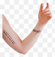 Bodypart Bodyparts Arm Arm Sticker - Fine Line Tattoo Adelaide Emoji,Using Emojis Show You Tattoo