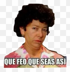 Fly Memes Whatsapp Stickers - Stickers Cloud Sticker Que Feo Que Seas Asi Emoji,Emoticon For Grose
