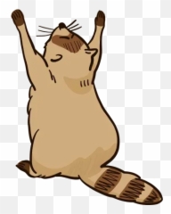 New Raccoon Whatsapp Stickers - Happy Emoji,Raccoon Emoticons Whatsapp