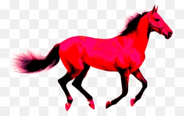 Pantomime Horse By Aap On Newgrounds Animated - Cloudygif Benefits Of Horse Therapy Emoji,Hand Horse Horse Emoji