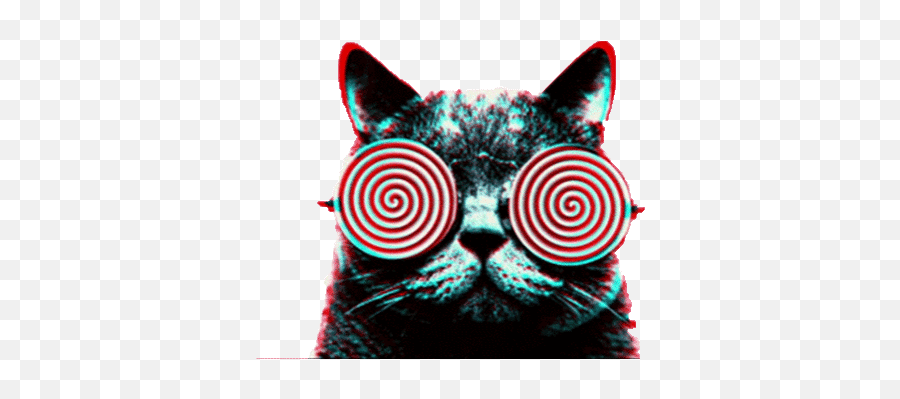 Top Psychedelic Cats Stickers For Android U0026 Ios Gfycat - Twitch Alerts Meme Gif Emoji,Blushing Cat Emoji