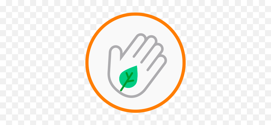 Scolelte Mexico - C Level Carbon Consultancy Emoji,Wave Hand Without Color Emoji