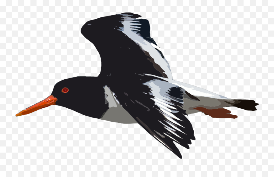 Black Bird Flying Png Svg Clip Art For Web - Download Clip Emoji,Black Bird Emoji
