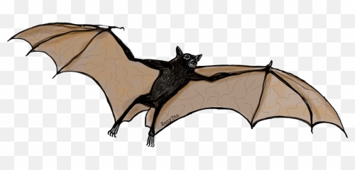See Profile - Bat Emoji,Batting Eyelashes Emoji