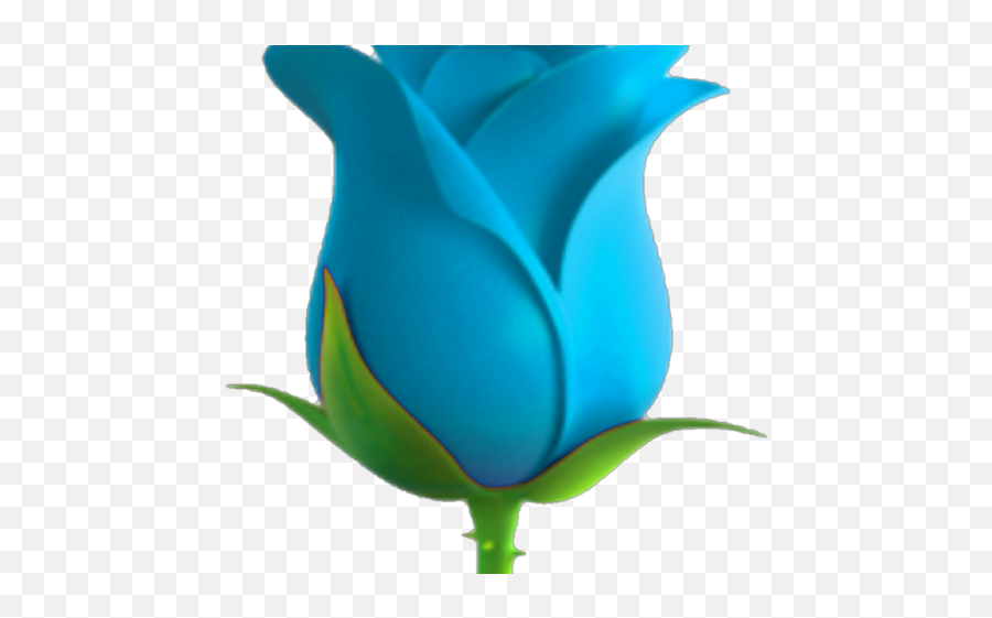 Blue Rose Emoji Transparent Png Image - Transparent Rose Emoji Png,Blue Rose Emoji