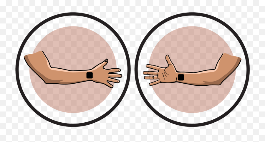 Elbow Clipart Biceps Elbow Biceps Transparent Free For - Language Emoji,Electrode Emoji
