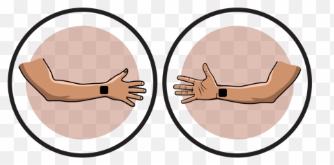 Elbow Clipart Biceps Elbow Biceps Transparent Free For - Language Emoji,Electrode Emoji