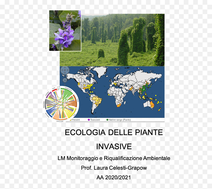 Elearning Sapienza Pagina Di Accesso Solo Per Docenti - World Map Pin Board Emoji,Morfo Emotions App