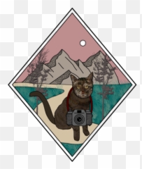 Jamie Tobin Photography Iowa Elopement Photographer - Domestic Cat Emoji,Don't Worry Its Only Your Emotions