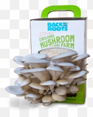 20 Most Weirdest And Craziest Products You Can Purchase On - Pleurotus Eryngii Emoji,Weirdest Snapchat Emojis