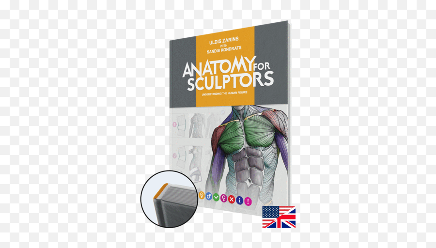 Anatomy Of Facial Expression - Paperback English U2013 Anatomy Anatomy For Sculptors Book Emoji,Facial Emotions Names