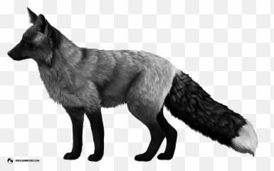 The History Of Fox Domestication At - Fox Transparent Background Emoji,Bared Teeth Chimpanzee Emotion
