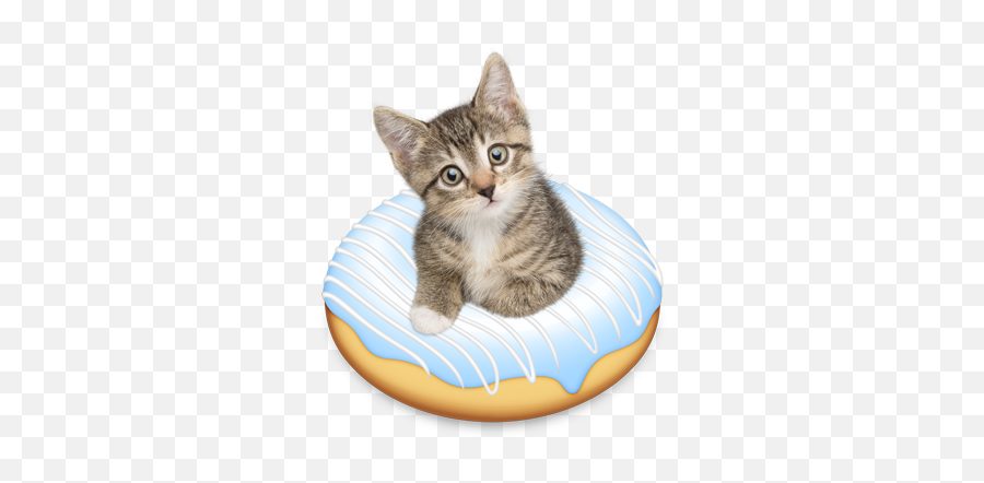 Doughnut Kitten By Tania Hennessy Kitten Funny Animal - Cat Bed Emoji,Hennessy Emoji