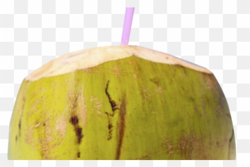 Tanzania Flag Icon - Png4u Fresh Emoji,Tanzania Flag Emoji