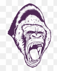 Gorilla Face Illustration Transparent Png U0026 Svg Vector Emoji,Gorilla Face Emoji