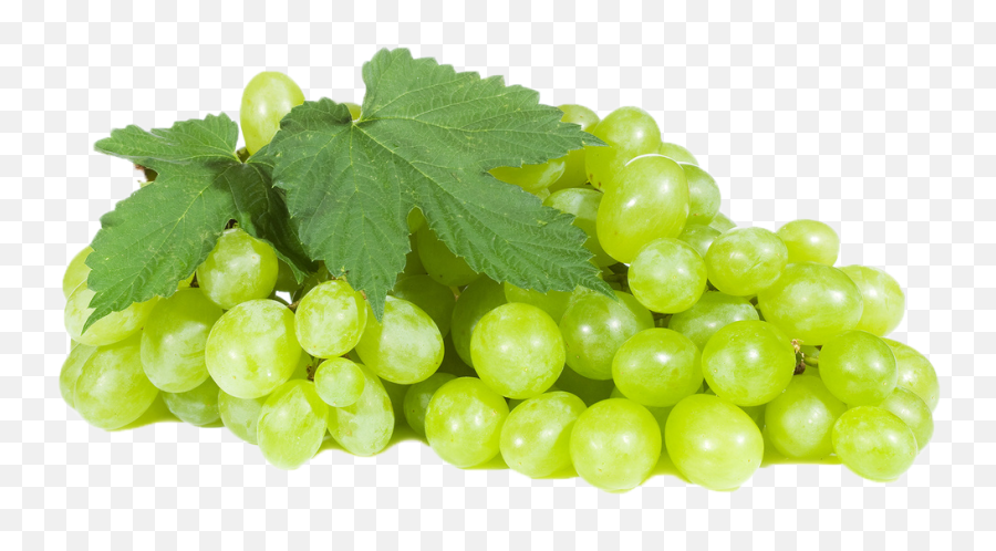 Free Grape Leaf Png Download Free Clip - Grapes Images Hd Png Emoji,Green Grape Emoji
