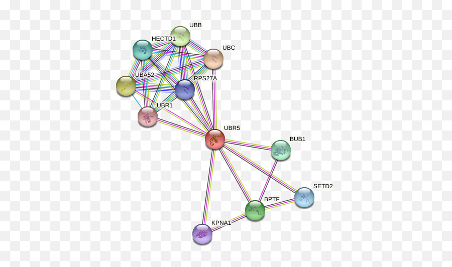 Ubr5 Protein Human - String Interaction Network Emoji,Emotion Regulation Crystal