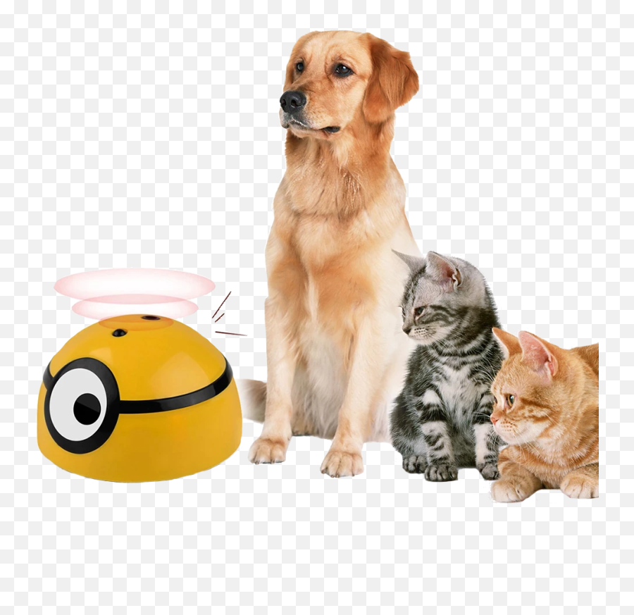 Pet Intelligent Escaping Toys Dog Cat - Catch Me Toy For Dogs Emoji,Giggle Cat Emoticon