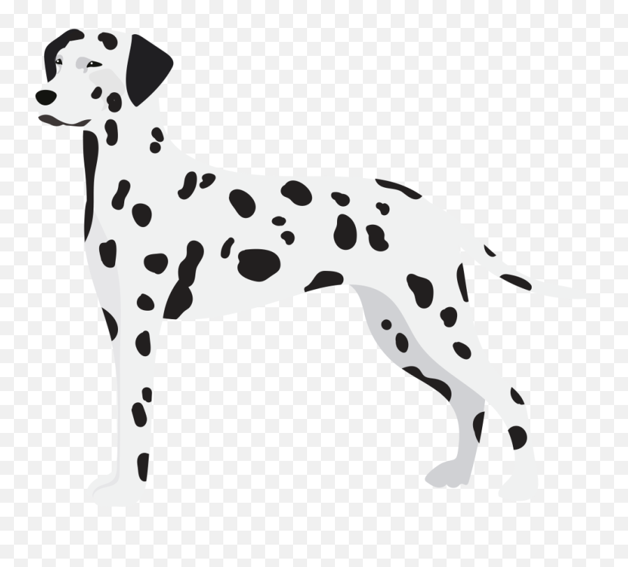 Buncee Emoji,Dalmatian Emoticon
