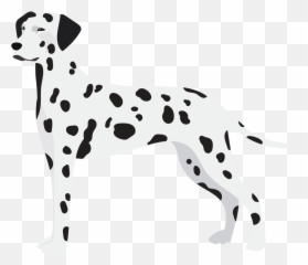 Buncee Emoji,Dalmatian Emoticon