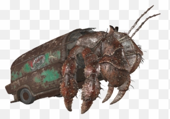 This Hermit Crab Turned A Pvc Pipe Into A Home R Emoji,Crabs Emotion