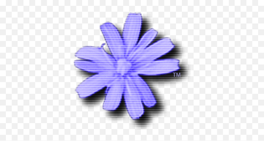 C64 Forever C64forever Twitter Emoji,Purple Plant Emoji